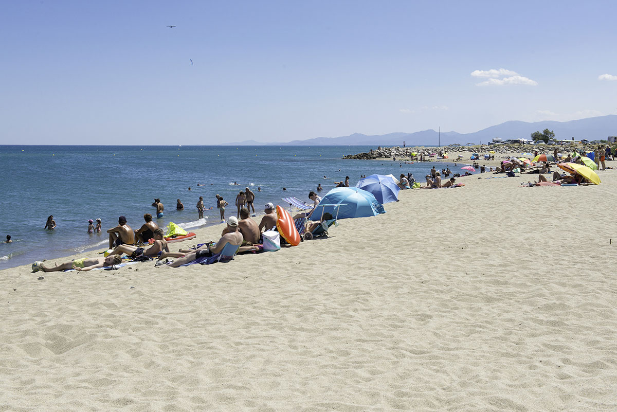 Le Cers Linguadoca-Rossiglione - Saint-Laurent-de-la-Salanque visuel 4/6