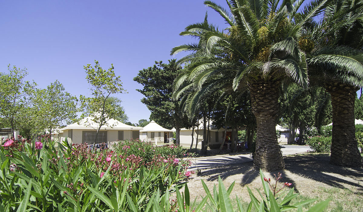 Le Cers Linguadoca-Rossiglione - Saint-Laurent-de-la-Salanque visuel 1/6