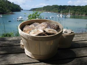 Le Chateau De Belon Bretagna - Riec-sur-Bélon visuel 1/1 Le Chateau De Belon Bretagna - Riec-sur-Bélon visuel 1/1