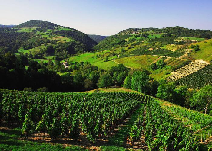 Le Colombier Rodano-Alpi - Culoz visuel 6/12