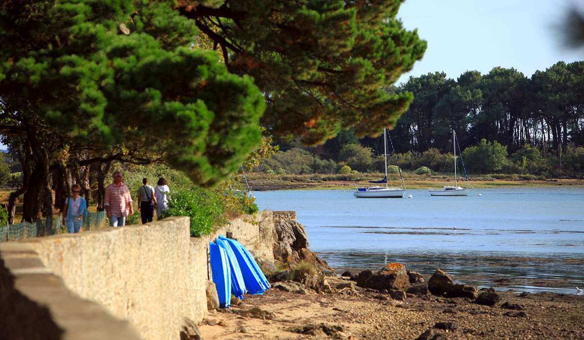 Le Conleau Bretagna - Vannes visuel 14/16 Le Conleau Bretagna - Vannes visuel 14/16