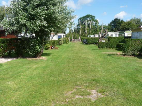 Le Courtil Rose Nord-Passo di Calais - Brêmes visuel 1/1 Le Courtil Rose Nord-Passo di Calais - Brêmes visuel 1/1