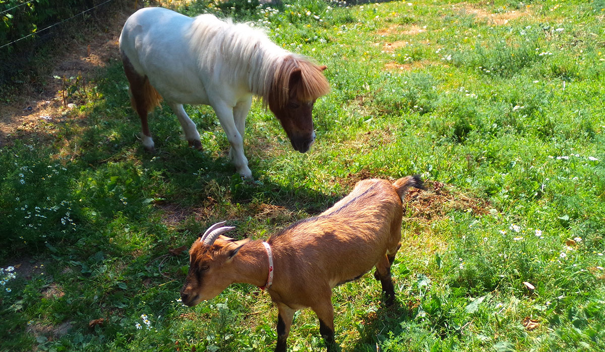 Le Creulet Bassa Normandia - Crouay visuel 2/3