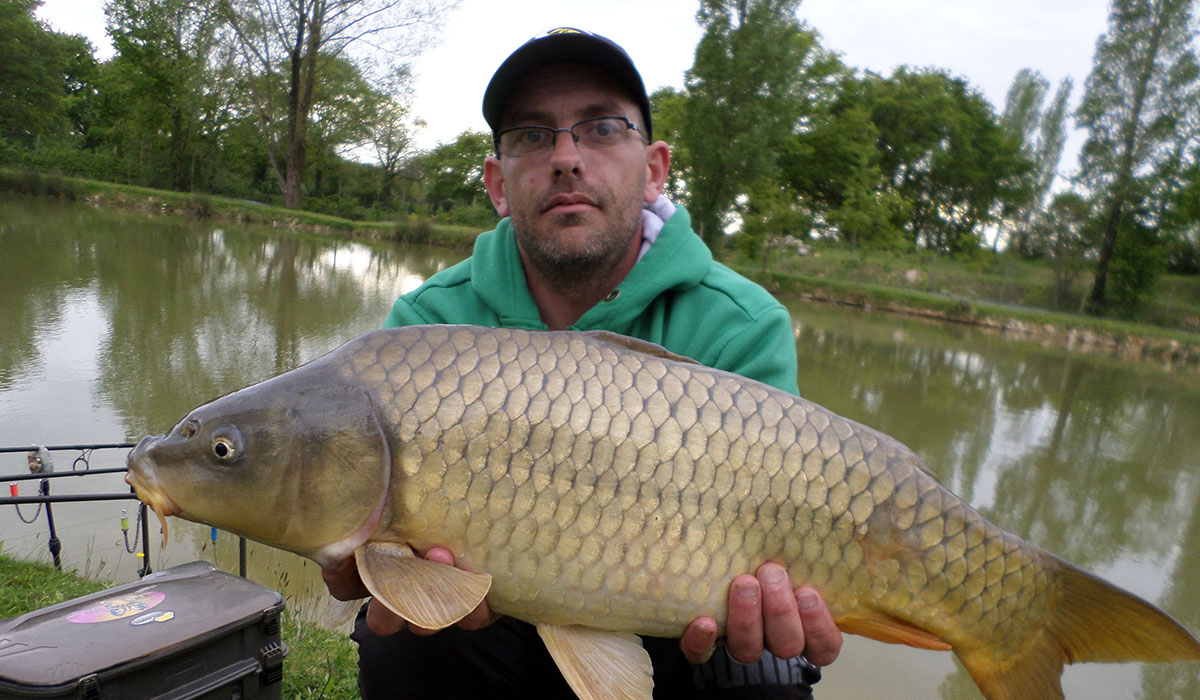 Le Domaine de Bellevue Paesi della Loira - Saint-Christophe-du-Ligneron visuel 7/15 Le Domaine de Bellevue Paesi della Loira - Saint-Christophe-du-Ligneron visuel 7/15