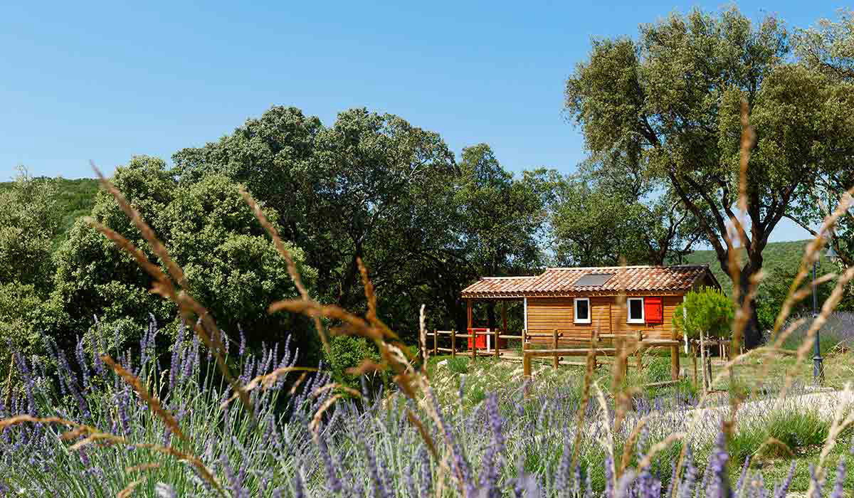 Domaine de Sévenier et Spa Rodano-Alpi - Lagorce visuel 13/16 Domaine de Sévenier et Spa Rodano-Alpi - Lagorce visuel 13/16