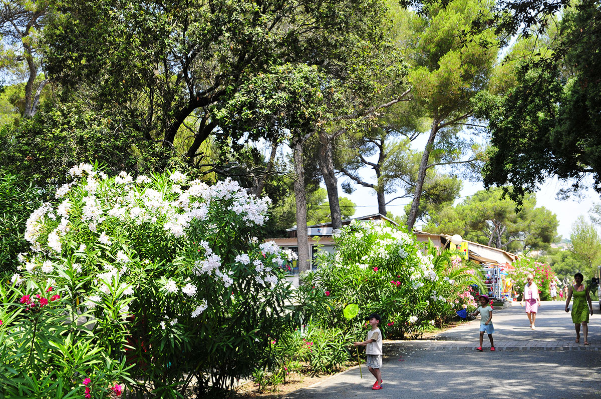 La Plage du Dramont Provenza-Alpi-Costa Azzurra - Agay visuel 12/12
