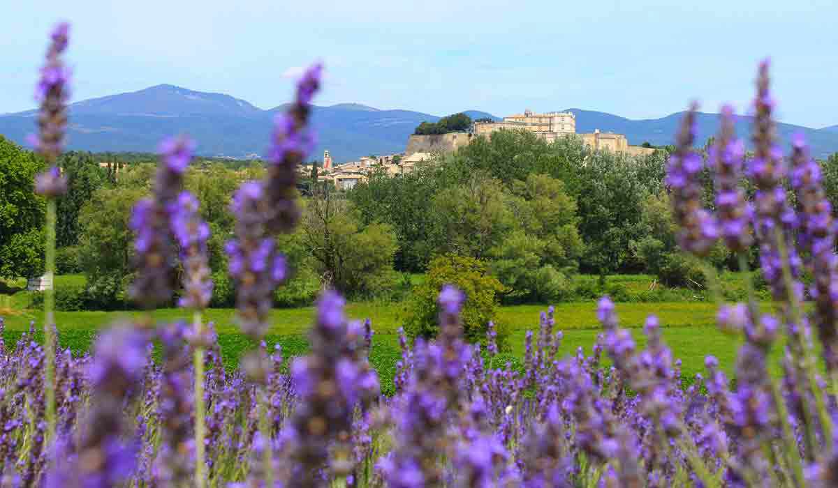 Le Garrigon Provenza-Alpi-Costa Azzurra - Grillon visuel 5/14 Le Garrigon Provenza-Alpi-Costa Azzurra - Grillon visuel 5/14
