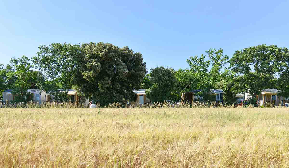 Le Garrigon Provenza-Alpi-Costa Azzurra - Grillon visuel 10/14 Le Garrigon Provenza-Alpi-Costa Azzurra - Grillon visuel 10/14