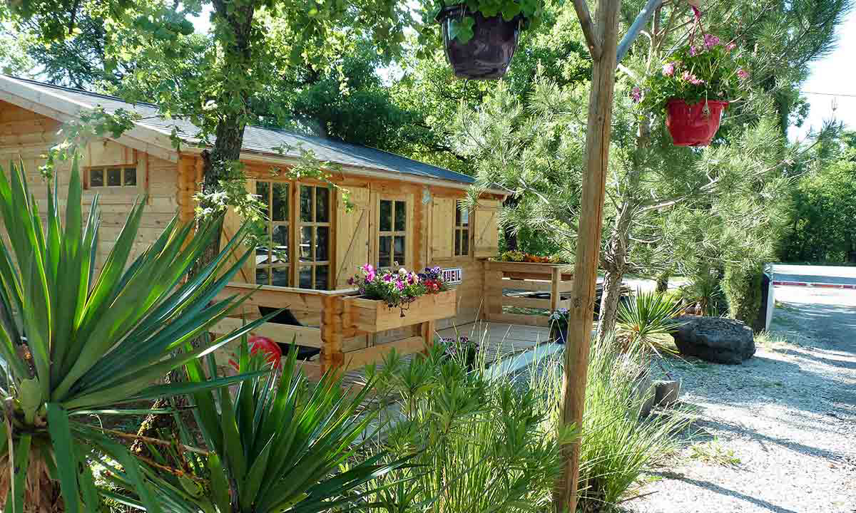 Le Jas du Moine Provenza-Alpi-Costa Azzurra - Salignac visuel 8/12