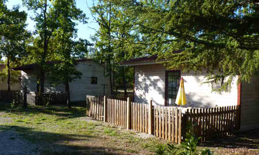 Le Jas du Moine Provenza-Alpi-Costa Azzurra - Salignac visuel 11/12