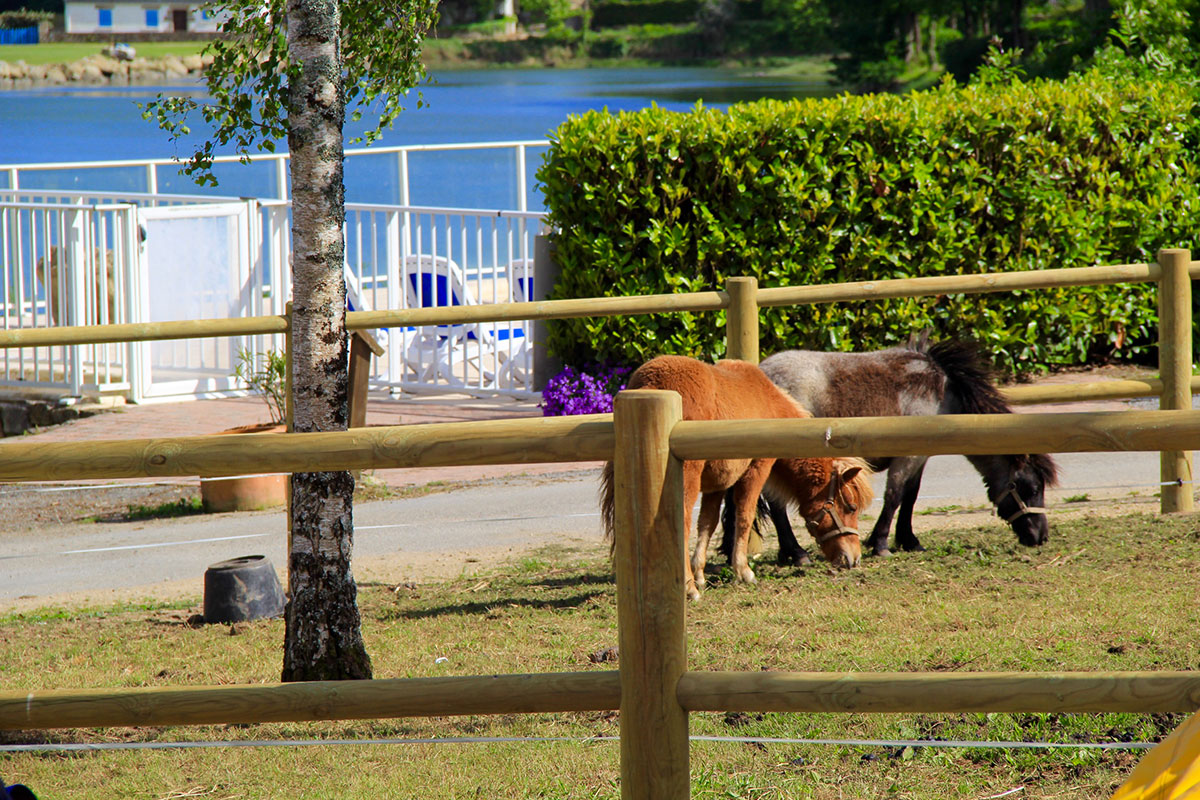 Le Lac Bretagna - Carnac visuel 14/17 Le Lac Bretagna - Carnac visuel 14/17