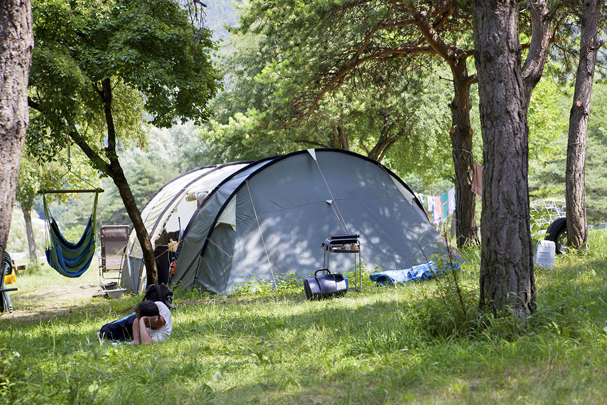 Le Lac Provenza-Alpi-Costa Azzurra - Saint-Vincent-les-Forts visuel 10/16