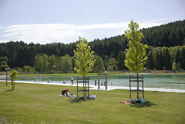 Le Lac des Sapins Rodano-Alpi - Cublize visuel 9/14
