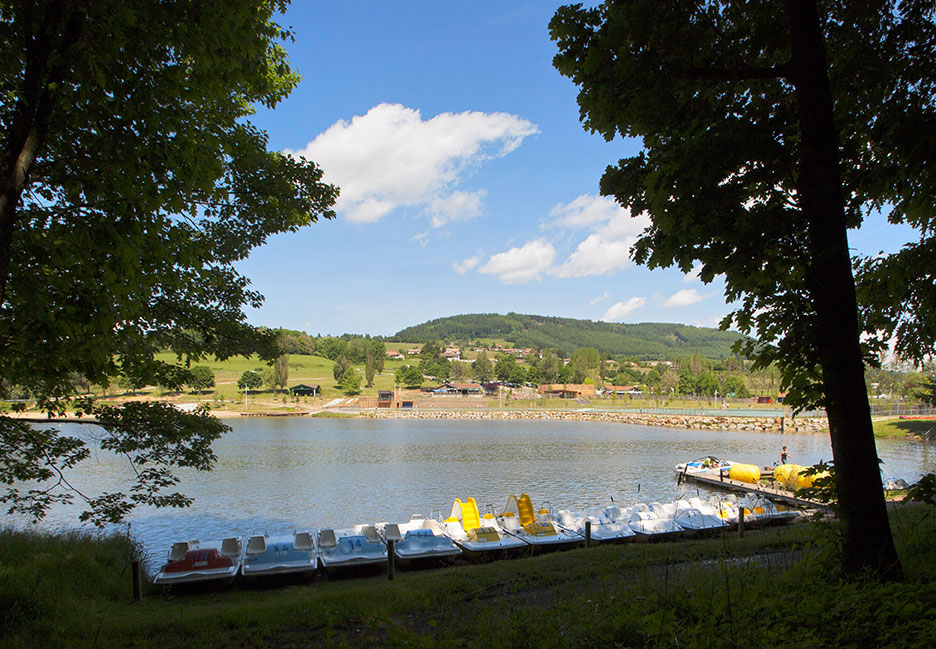 Le Lac des Sapins Rodano-Alpi - Cublize visuel 3/14
