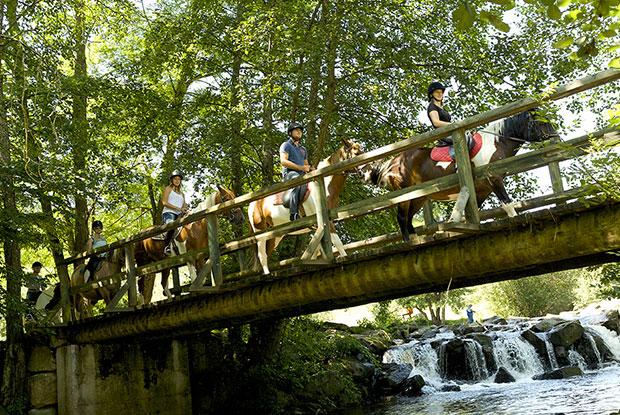 Le Lac des Sapins Rodano-Alpi - Cublize visuel 6/14