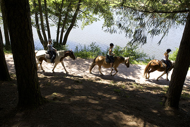 Le Lac des Sapins Rodano-Alpi - Cublize visuel 5/14