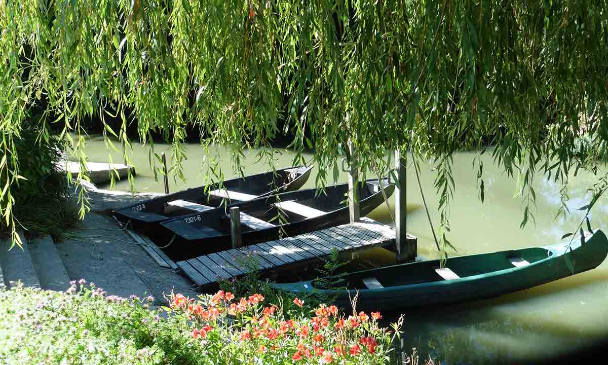 Le Lidon Poitou-Charentes - Saint-Hilaire-la-Palud visuel 14/20