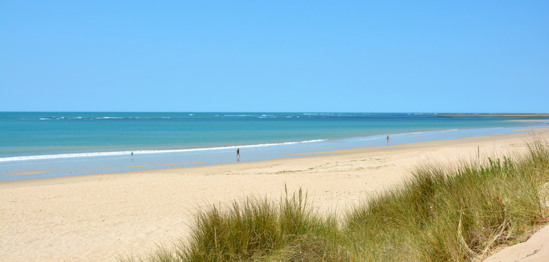 Le Maine Poitou-Charentes - Le Grand-Village-Plage visuel 1/6