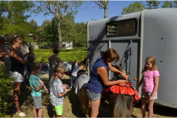 Le Mas de Reilhe Linguadoca-Rossiglione - Crespian visuel 9/16