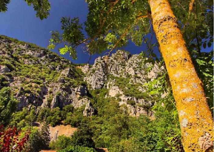 Le Moulin du Pont d'Aliès Linguadoca-Rossiglione - Saint-Martin-Lys visuel 3/8 Le Moulin du Pont d'Aliès Linguadoca-Rossiglione - Saint-Martin-Lys visuel 3/8