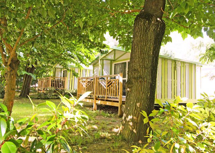 Le Moulin du Pont d'Aliès Linguadoca-Rossiglione - Saint-Martin-Lys visuel 8/8 Le Moulin du Pont d'Aliès Linguadoca-Rossiglione - Saint-Martin-Lys visuel 8/8