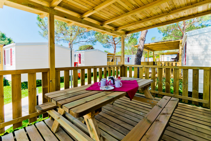 Le Palme Veneto - Lazise visuel 3/3 Le Palme Veneto - Lazise visuel 3/3