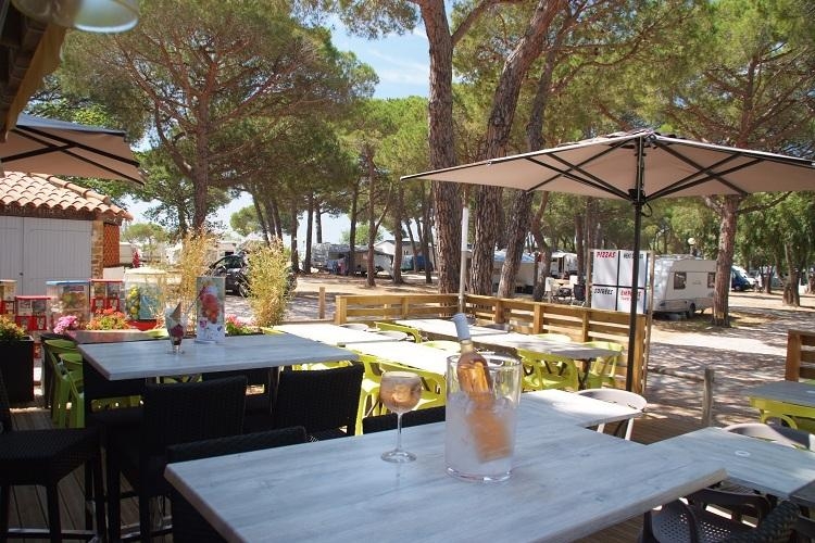 Le Pansard Provenza-Alpi-Costa Azzurra - La Londe-les-Maures visuel 10/10