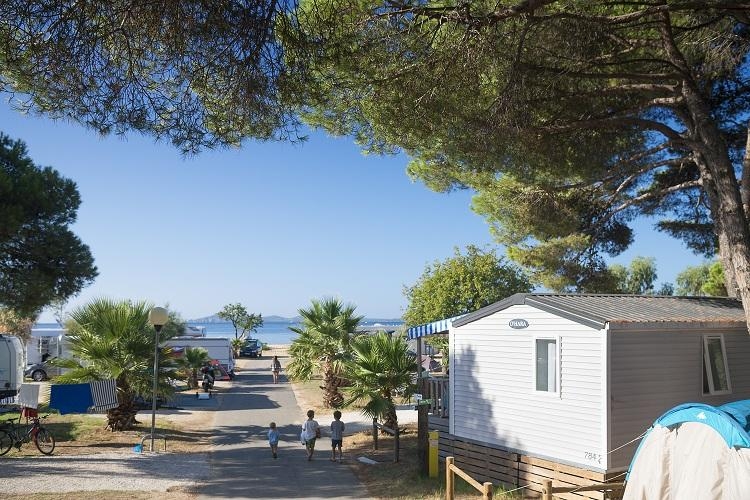 Le Pansard Provenza-Alpi-Costa Azzurra - La Londe-les-Maures visuel 6/10