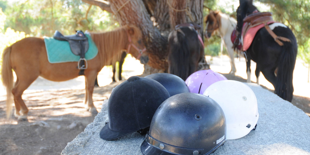 Le Paradis Paesi della Loira - Talmont-Saint-Hilaire visuel 18/19 Le Paradis Paesi della Loira - Talmont-Saint-Hilaire visuel 18/19