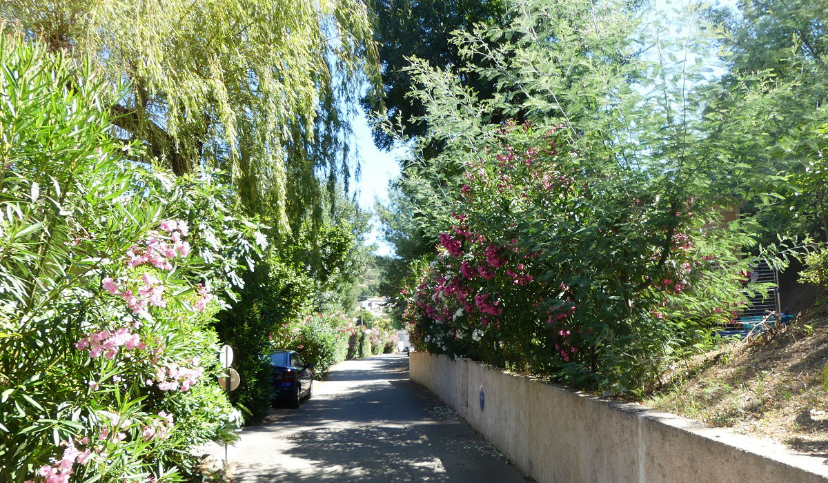 Le Parc des Monges Provenza-Alpi-Costa Azzurra - Auribeau-sur-Siagne visuel 12/27 Le Parc des Monges Provenza-Alpi-Costa Azzurra - Auribeau-sur-Siagne visuel 12/27