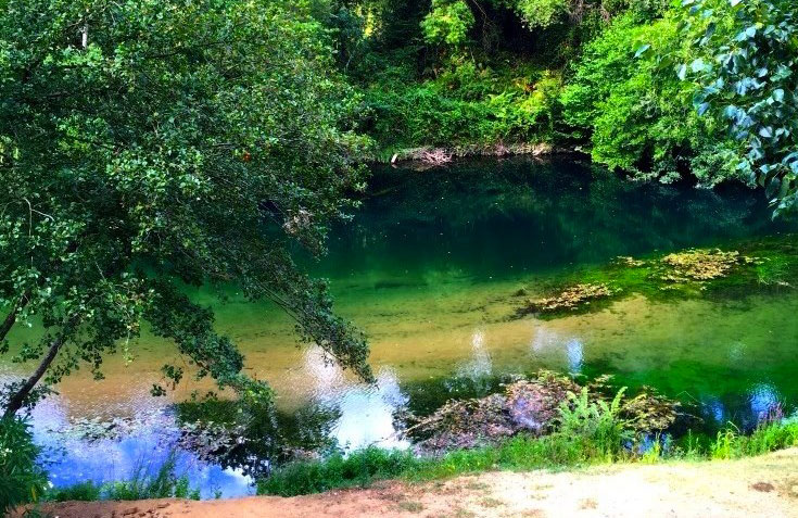 Le Parc des Monges Provenza-Alpi-Costa Azzurra - Auribeau-sur-Siagne visuel 24/27 Le Parc des Monges Provenza-Alpi-Costa Azzurra - Auribeau-sur-Siagne visuel 24/27