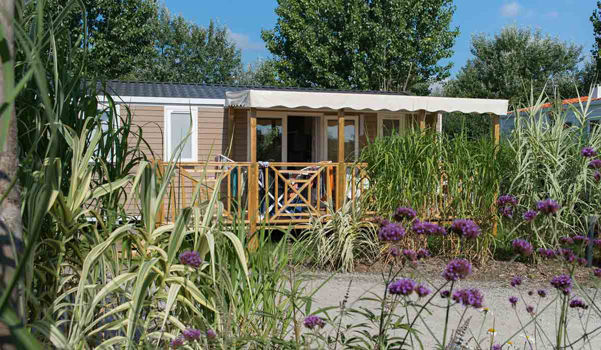 Le Petit Paris Paesi della Loira - Château-d'Olonne visuel 7/25