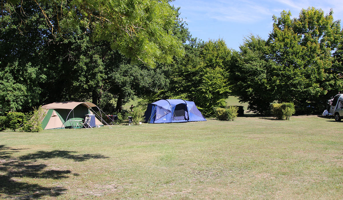 Le Petit Trianon Poitou-Charentes - Ingrandes visuel 8/18