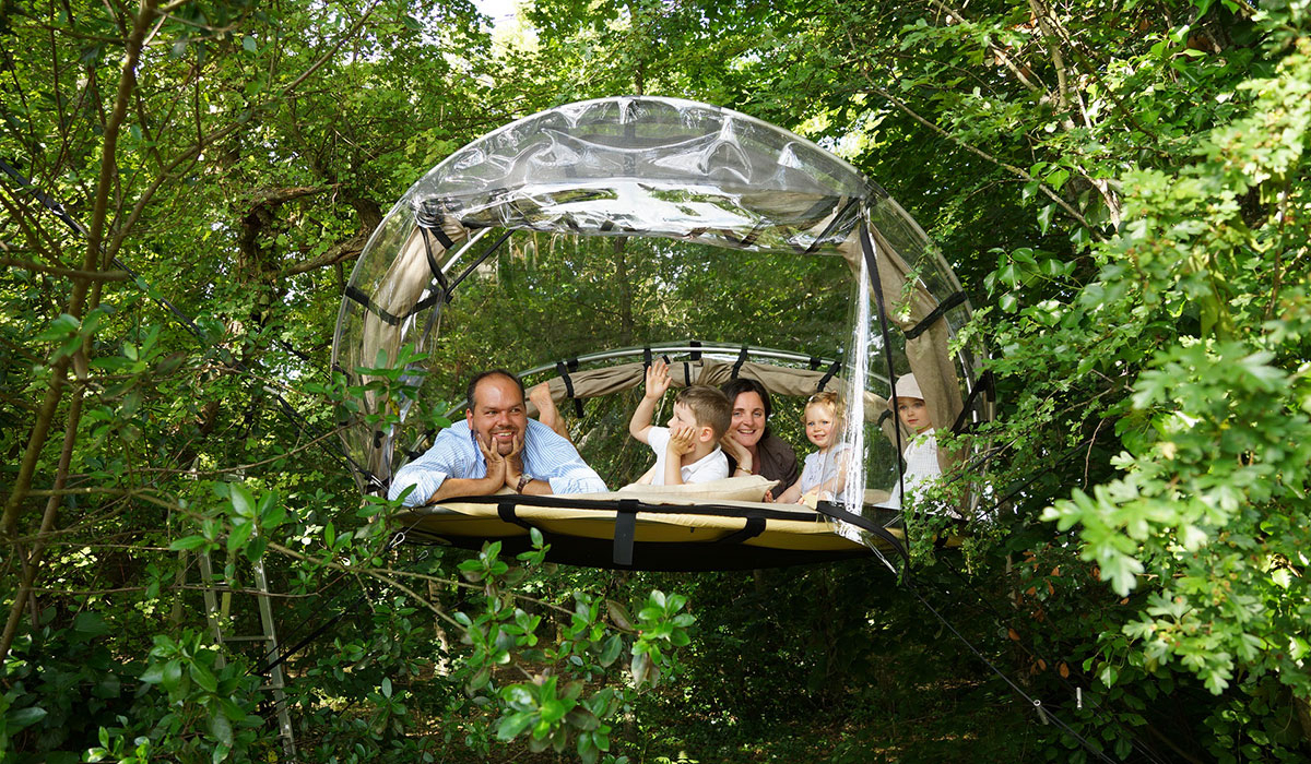 Le Petit Trianon Poitou-Charentes - Ingrandes visuel 3/18