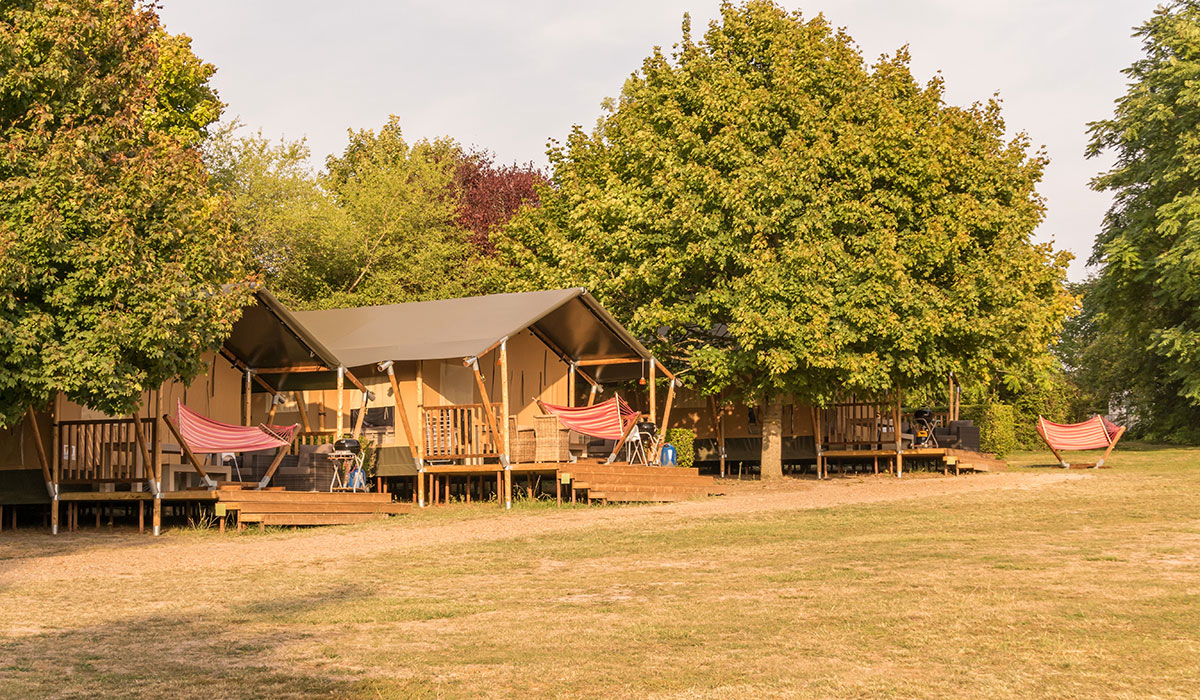 Le Petit Trianon Poitou-Charentes - Ingrandes visuel 7/18