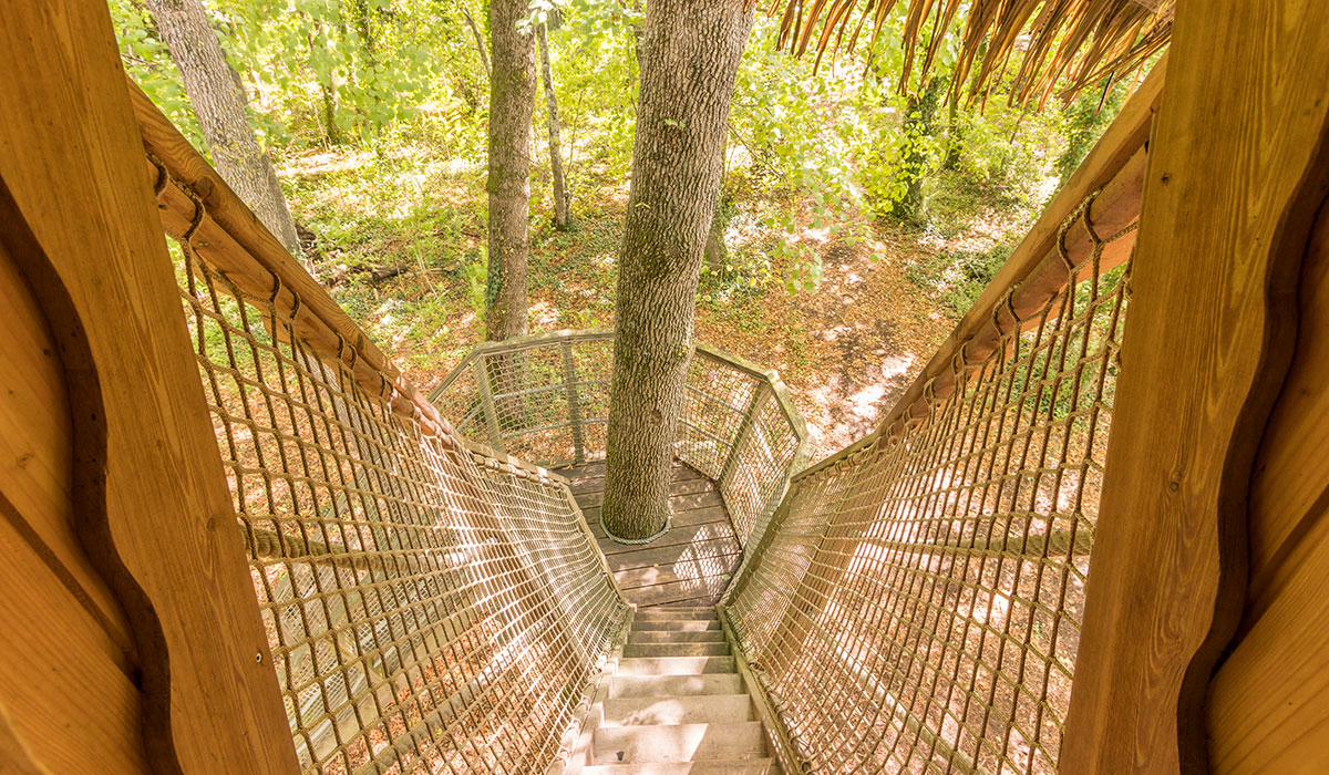 Le Petit Trianon Poitou-Charentes - Ingrandes visuel 11/18