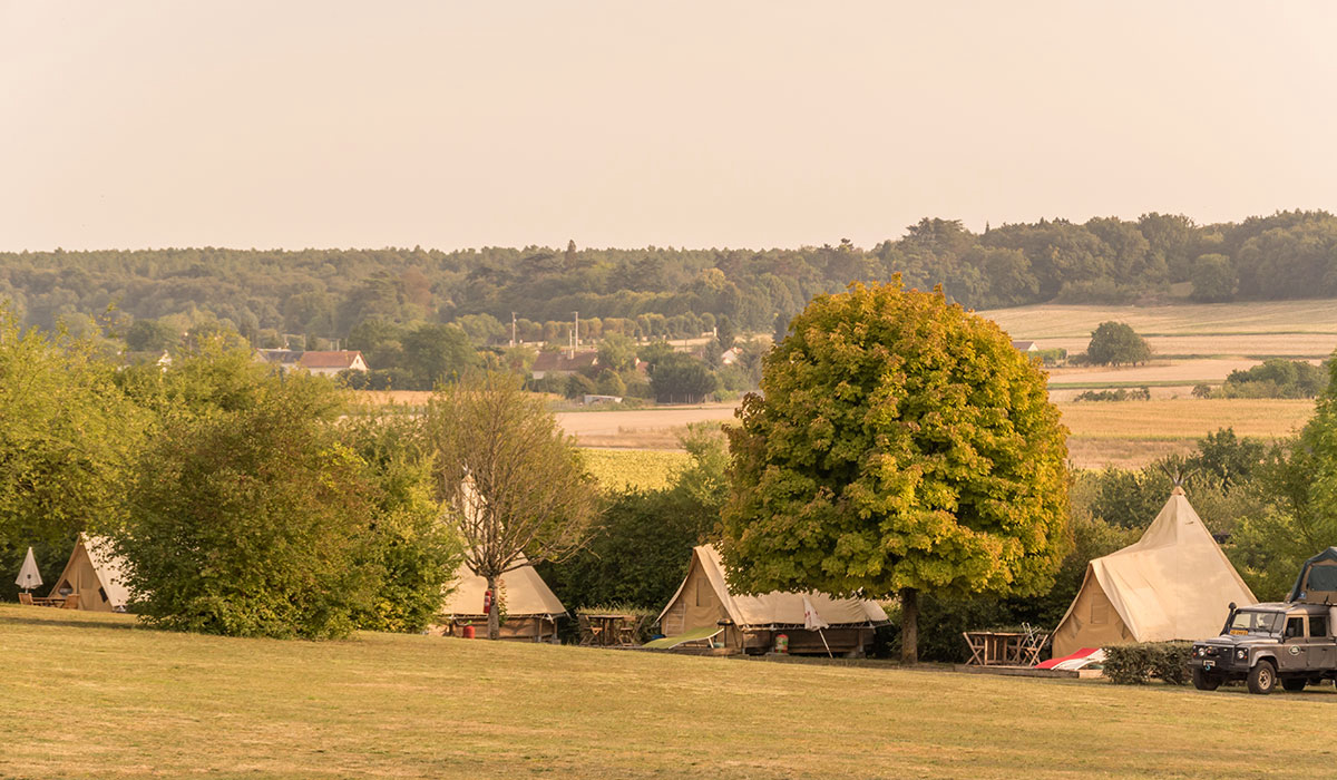 Le Petit Trianon Poitou-Charentes - Ingrandes visuel 17/18