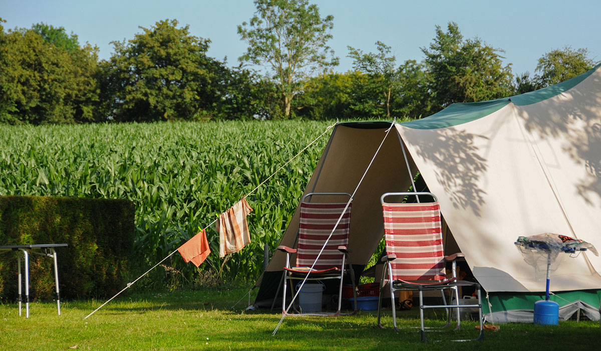 Le Picard Bassa Normandia - Tournières visuel 10/11