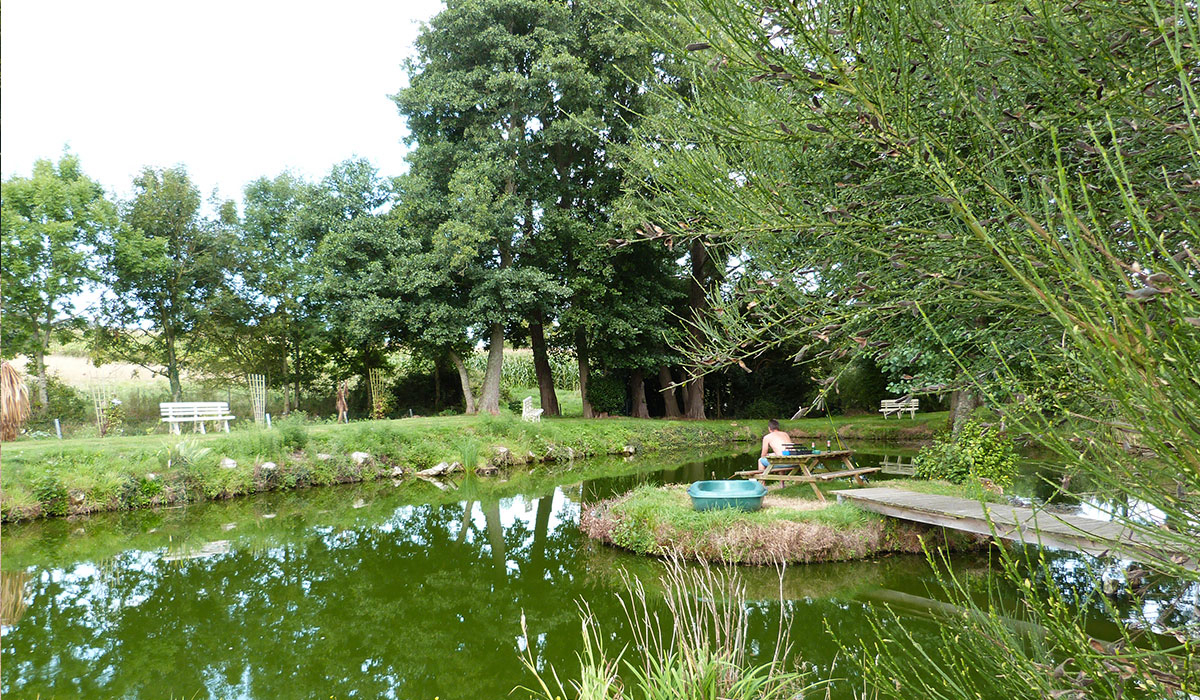 Le Picard Bassa Normandia - Tournières visuel 7/11