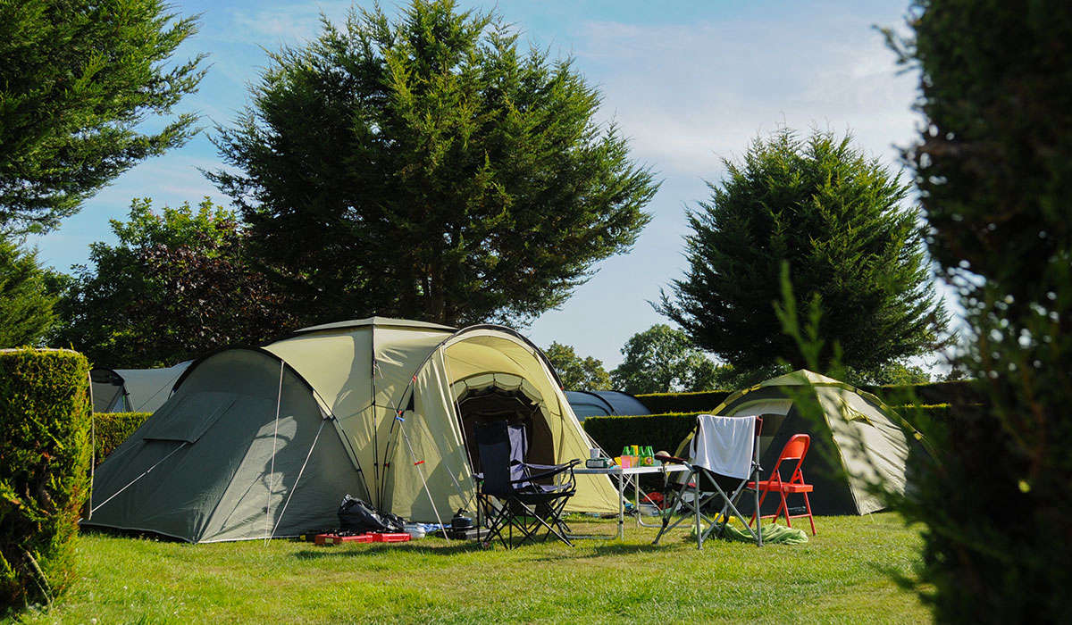 Le Picard Bassa Normandia - Tournières visuel 3/11