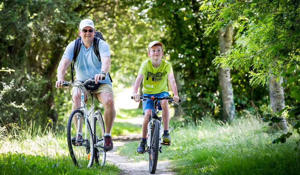 Le Pin Parasol Paesi della Loira - La Chapelle Hermier visuel 32/33 Le Pin Parasol Paesi della Loira - La Chapelle Hermier visuel 32/33