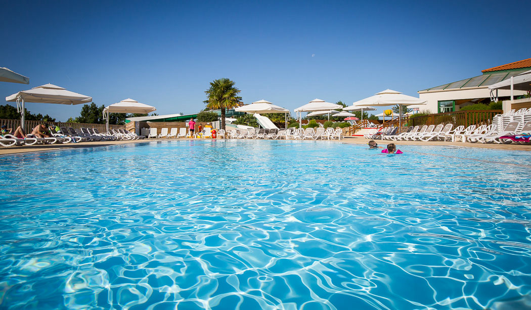 Le Pin Parasol Paesi della Loira - La Chapelle Hermier visuel 2/33 Le Pin Parasol Paesi della Loira - La Chapelle Hermier visuel 2/33