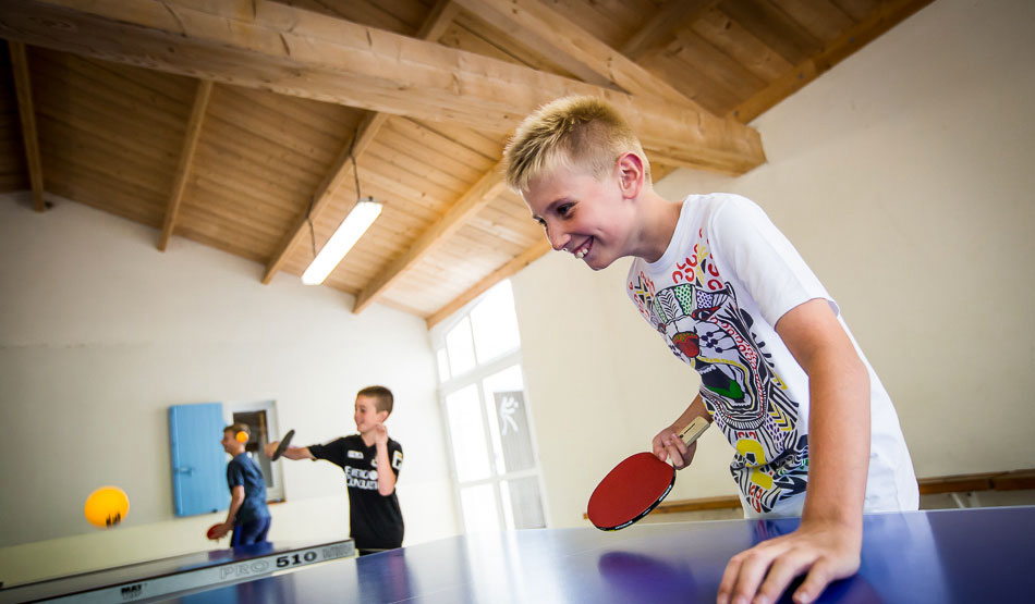 Le Pin Parasol Paesi della Loira - La Chapelle Hermier visuel 16/33 Le Pin Parasol Paesi della Loira - La Chapelle Hermier visuel 16/33