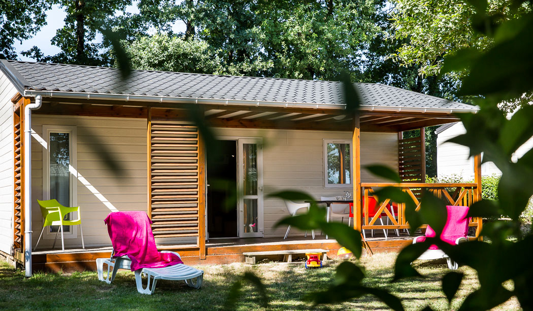 Le Pin Parasol Paesi della Loira - La Chapelle Hermier visuel 19/33 Le Pin Parasol Paesi della Loira - La Chapelle Hermier visuel 19/33