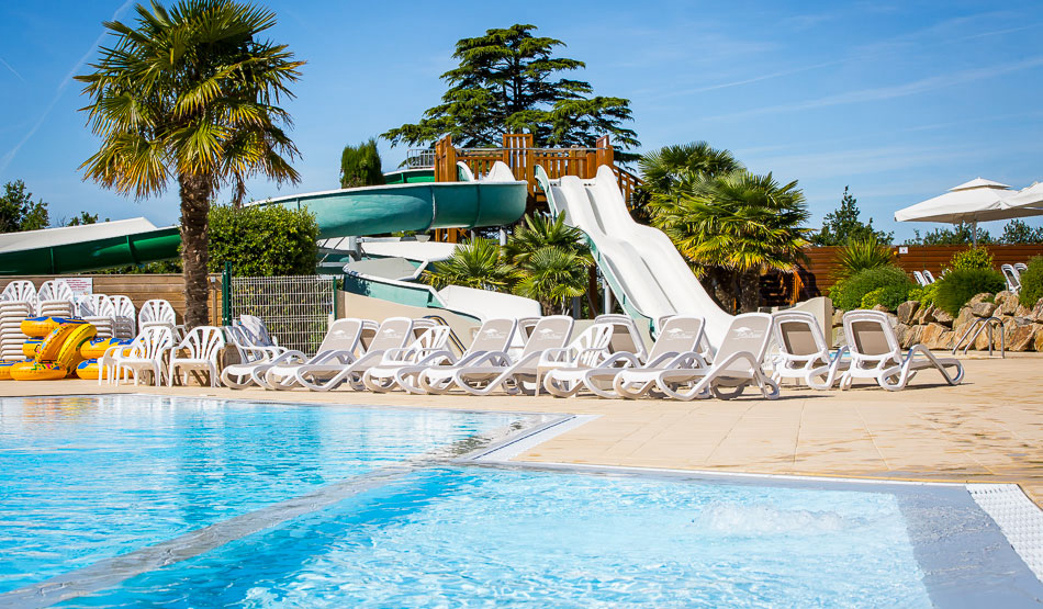 Le Pin Parasol Paesi della Loira - La Chapelle Hermier visuel 3/33 Le Pin Parasol Paesi della Loira - La Chapelle Hermier visuel 3/33