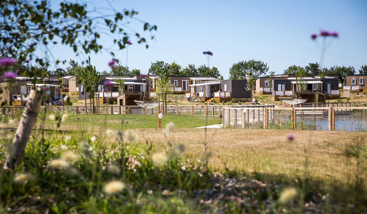 Le Pin Parasol Paesi della Loira - La Chapelle Hermier visuel 10/33 Le Pin Parasol Paesi della Loira - La Chapelle Hermier visuel 10/33