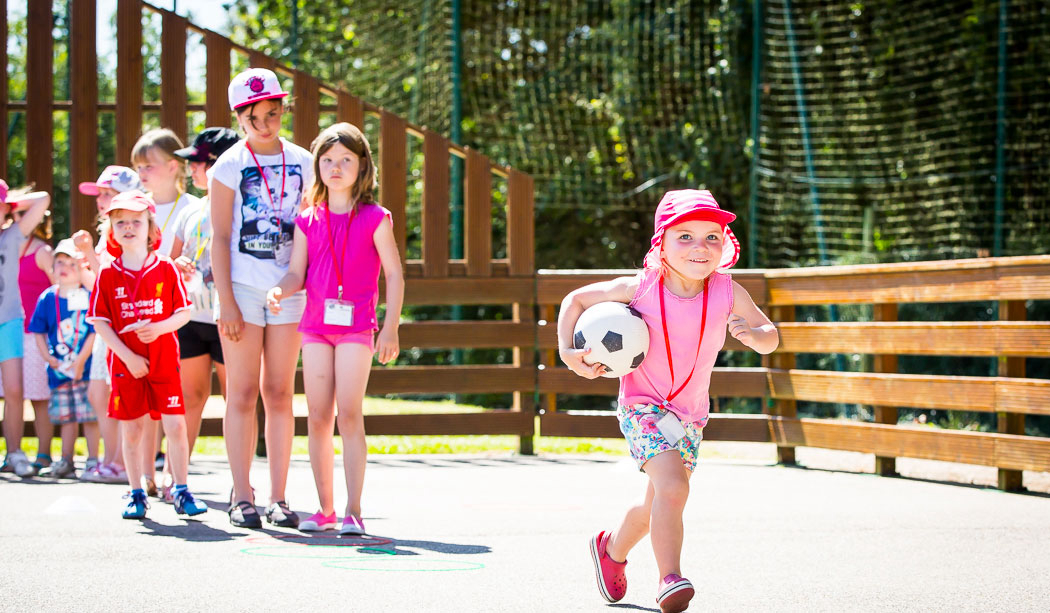 Le Pin Parasol Paesi della Loira - La Chapelle Hermier visuel 25/33 Le Pin Parasol Paesi della Loira - La Chapelle Hermier visuel 25/33
