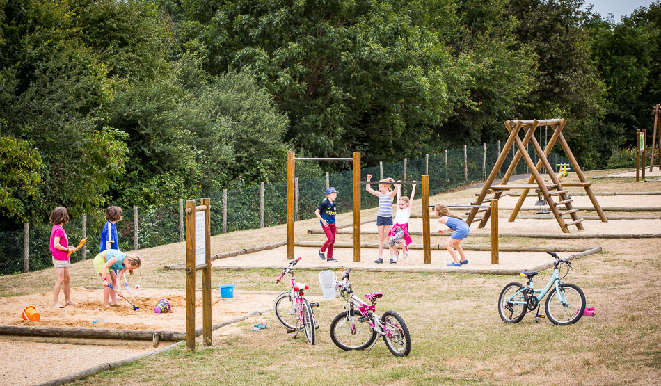 Le Pin Parasol Paesi della Loira - La Chapelle Hermier visuel 17/33 Le Pin Parasol Paesi della Loira - La Chapelle Hermier visuel 17/33