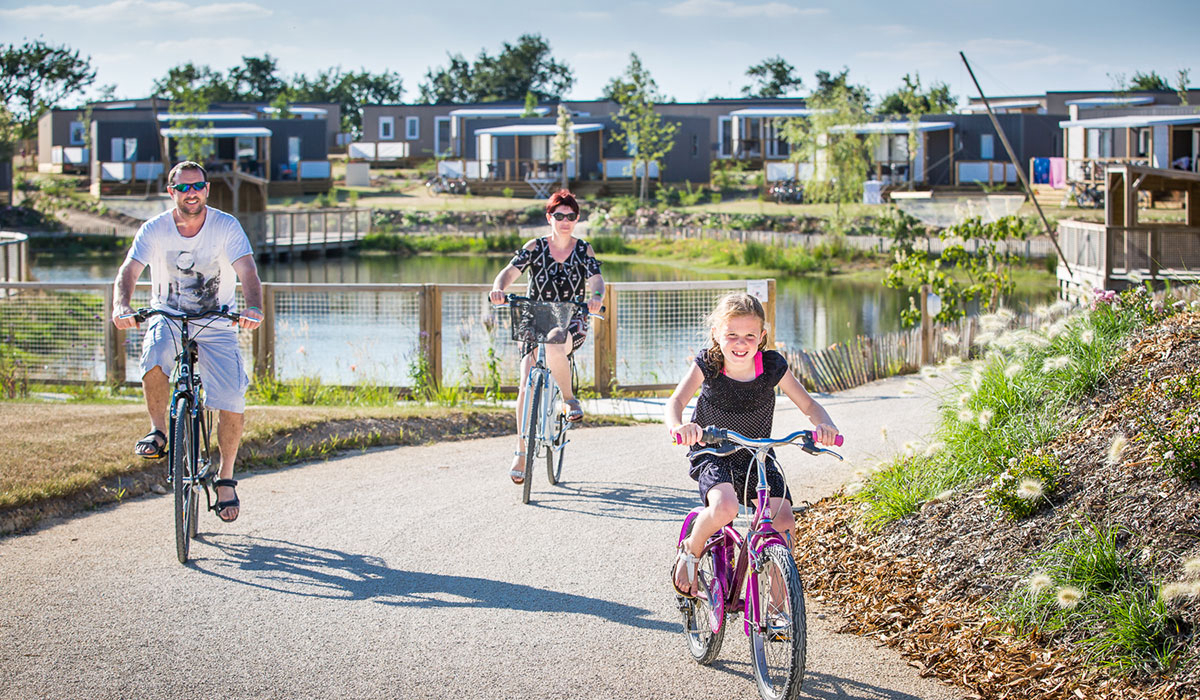 Le Pin Parasol Paesi della Loira - La Chapelle Hermier visuel 9/33 Le Pin Parasol Paesi della Loira - La Chapelle Hermier visuel 9/33