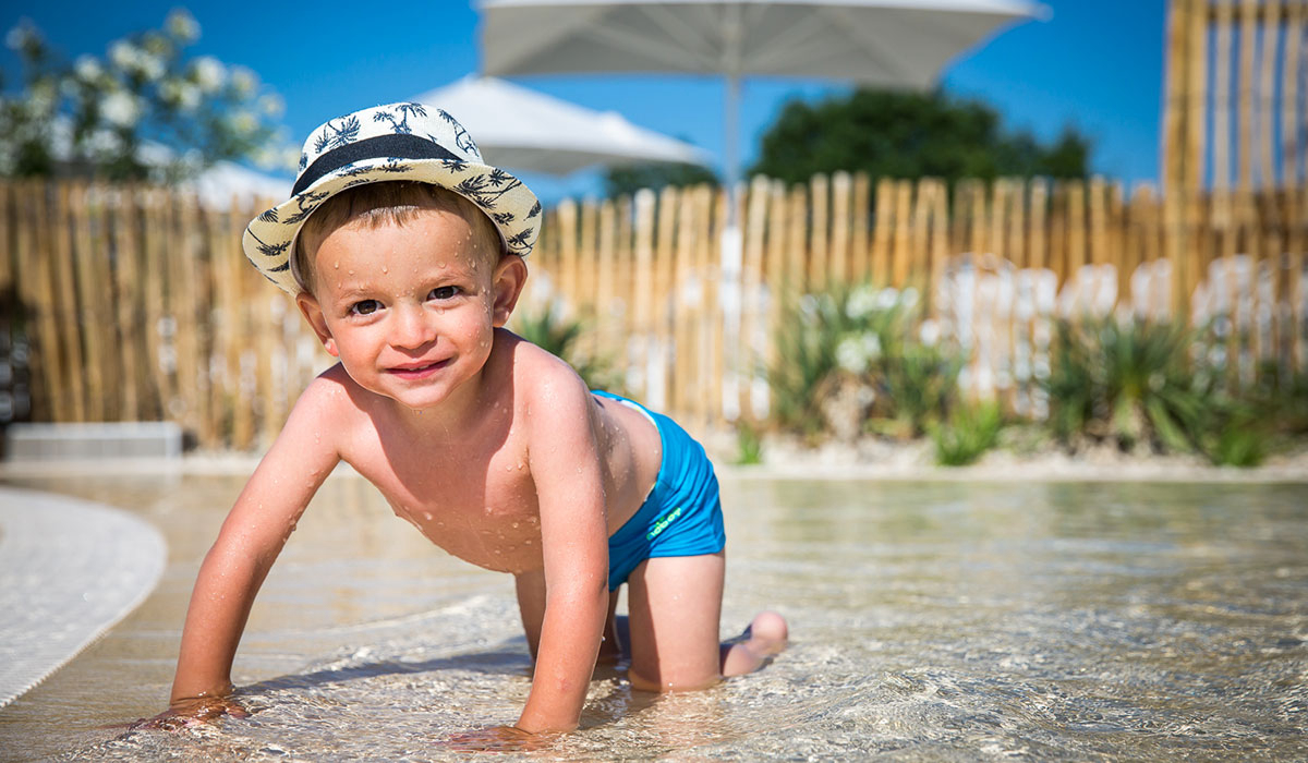 Le Pin Parasol Paesi della Loira - La Chapelle Hermier visuel 12/33 Le Pin Parasol Paesi della Loira - La Chapelle Hermier visuel 12/33